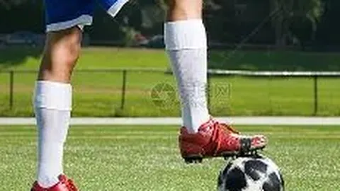 国际篮球组织锁定奥运男篮女篮资格赛举办城市